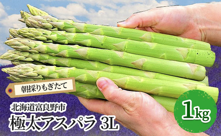 【2027年春発送】極太 グリーンアスパラ 3Lサイズ 1kg (スイートベジタブルファクトリー)