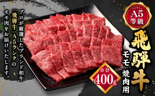 飛騨牛 A5 等級 焼肉 用 400g（ モモ肉 ）