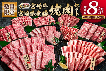 数量限定 6か月 お楽しみ 定期便 宮崎牛 豚肉 焼肉 セット 総重量8kg以上_N8-25