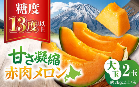 【先行予約】赤肉メロン 大玉2玉 [AJAH020] メロン
