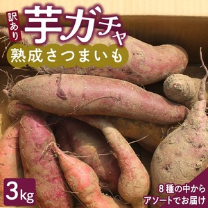 芋ガチャ訳あり 熟成さつまいも3kg_【訳あり】久留米市産 さつまいも 3kg 芋 ガチャ 栽培期間中農薬不使用 熟成 甘い 美味しい おやつ スイーツ バラエティ 紅はるか シルクスイート 国産 常温発送 国産 九州 福岡県 久留米市 お取り寄せ お取り寄せグルメ 送料無料 〔Gx052〕