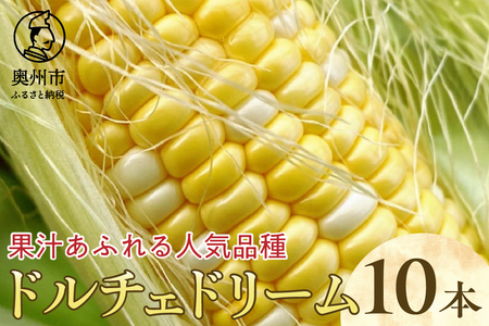 【先行予約】とうもろこし ドルチェドリーム10本 【数量限定】 2026年7月中旬から出荷 離島配送不可 [T0017]