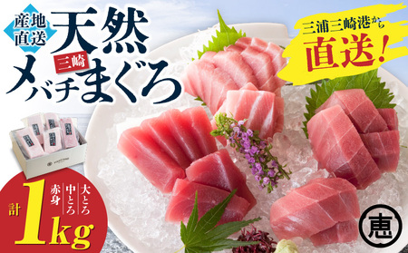 【至福のひと時】 天然 目鉢まぐろ 1kg（ 大トロ 200g、 中トロ 400g、 赤身 400g） M020-026-01 冷凍 マグロ 【 まぐろ専門の卸問屋です 】