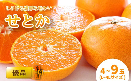 【2027年2月中旬頃から順次発送】 せとか 【家庭用(優品)】 （L～4L / 4～9玉） 【KK3071】