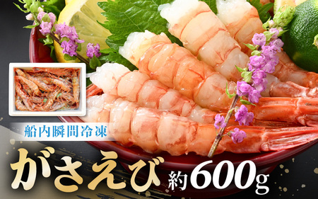 【発泡箱入り】がさえび 約600g エビ 冷凍 [A-23106]