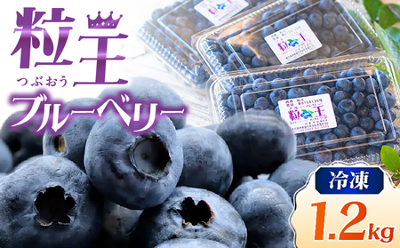 【 先行予約 】141-3 粒王 冷凍 ブルーベリー 1.2kg（400g×3P） KN030-002 果物