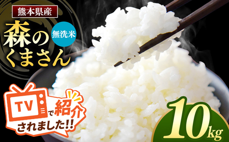 熊本県産 森のくまさん 無洗米 10kg  | 米 こめ お米 熊本県 玉名市 無洗米