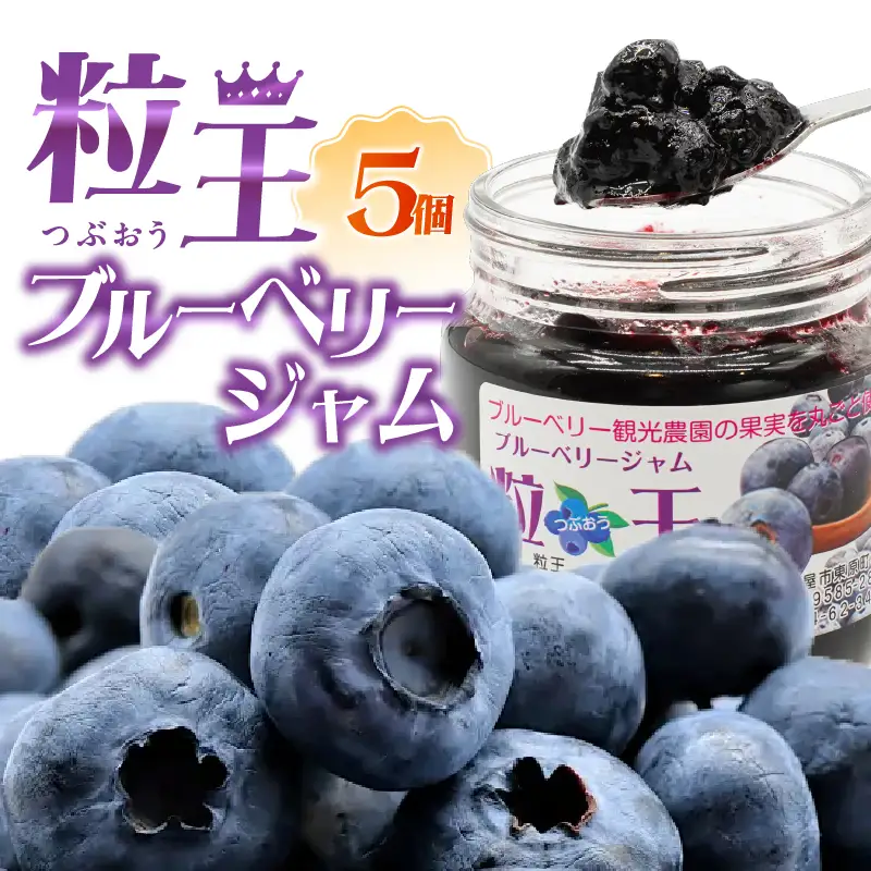 1903-1 粒王 ブルーベリー ジャム 200g × 5個 KN030-003 加工食品 果物