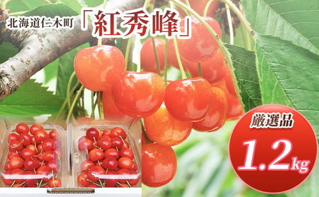 先行受付 北海道 仁木町産 さくらんぼ 紅秀峰 1.2kg (300g×4パック) L-Mサイズ 混合　旬 桜桃 産地直送 サクランボ チェリー フルーツ 果物 果物類  仁木町 仁木 [松山商店]