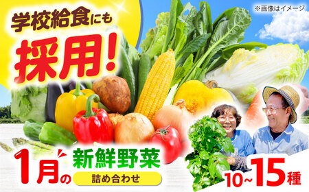高槻野菜おまかせ詰め合わせセット 1月（10種〜15種）[AOCS007] 野菜セット