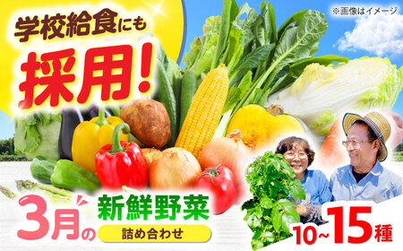 高槻野菜おまかせ詰め合わせセット 3月（10種〜15種）[AOCS009] 野菜セット