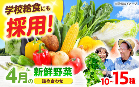高槻おまかせ野菜詰め合わせセット 4月（10種〜15種）[AOCS010] 野菜セット