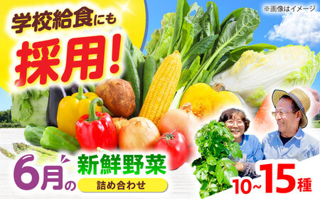 高槻野菜おまかせ詰め合わせセット 6月（10種〜15種）[AOCS012] 野菜セット