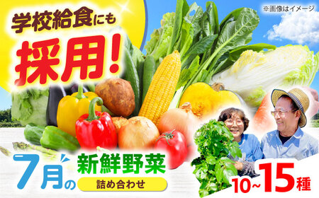 高槻野菜おまかせ詰め合わせセット 7月（10種〜15種）[AOCS013] 野菜セット