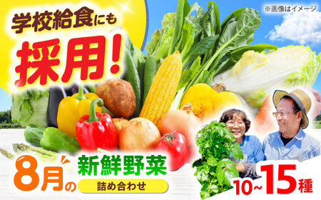 高槻野菜おまかせ詰め合わせセット 8月（10種〜15種）[AOCS014] 野菜セット