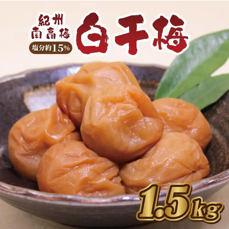 梅干し　白干梅1.5kg　塩分約15％【和歌山産】印南町　人気
