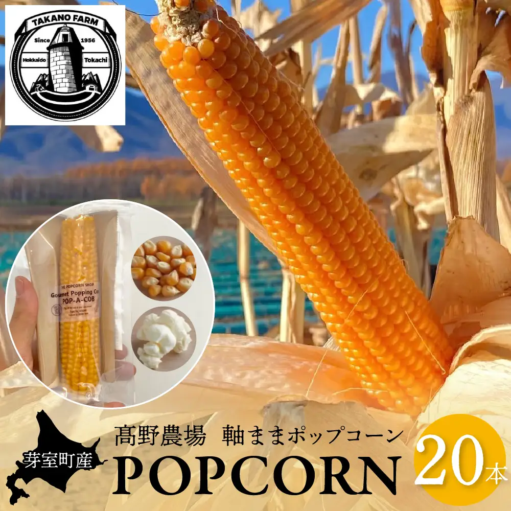 手軽で美味しい！北海道十勝芽室町 ポップコーン イエロー20本 手軽で美味しい！北海道十勝芽室町 ポップコーン イエロー5本 手軽で美味しい！北海道十勝芽室町 ポップコーン イエロー30本 手軽で美味しい！北海道十勝芽室町 ポップコーン イエロー10本 軸付き カラフル ポップコーン 電子レンジ対応特殊袋付き 軽食 とうもろこし おやつ お菓子 スナック菓子 お取り寄せ ご当地 送料無料 北海道 十勝 芽室町me066-005c