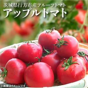 【2026年6月より順次発送】東山農園のアップルトマト 約1.5kg｜トマト とまと 野菜 やさい アップルトマト 新感覚 濃厚 先行予約 フルーツ フルーツトマト 茨城県 行方市 ふるさと納税(FP-1)