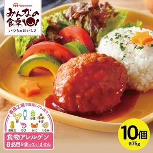 SA1995　東北日本ハム《みんなの食卓》 ハンバーグ　75g×10個