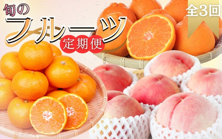【全3回定期便】旬のフルーツ定期便 【田村みかん /  紀州デコ(不知火) /  桃】 ～和歌山の旬をお届け～ / みかん ミカン 温州みかん 有田みかん 不知火 デコポン 桃 もも モモ 柑橘 フルーツ 果物 くだもの 旬 人気 甘い 定期便【tkb313】