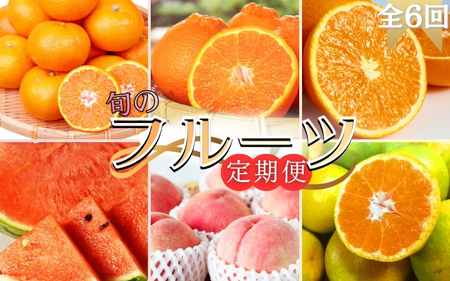 【全6回定期便】旬のフルーツ定期便 【田村みかん / 紀州デコ(不知火) / 清見オレンジ / 小玉スイカ / 桃 / ゆら早生みかん】 ～和歌山の旬をお届け～ / みかん ミカン 温州みかん 有田みかん 不知火 デコポン 桃 ももフルーツ 果物 定期便【tkb314】
