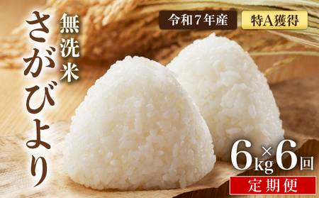 さがびより 無洗米 6kg×6回