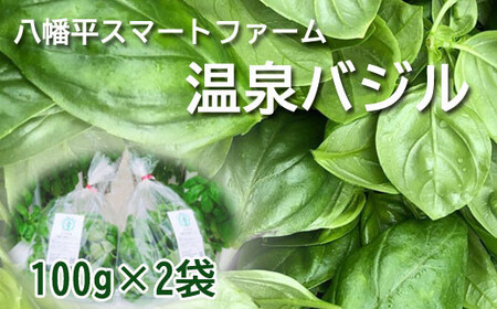 岩手県産 温泉バジル 100g×2袋 計200g ／ バジル 生バジル ばじる 新鮮 生 薬味 ハーブ 国産 八幡平市産 スマート農業 イタリアン 産地直送 農家直送 直送 常温発送 ジェノベーゼ 料理 ソース ピザ ピッツァ 調理 パスタ 炒め物 小分け  計200グラム オススメ おすすめ 野菜 八幡平スマートファーム