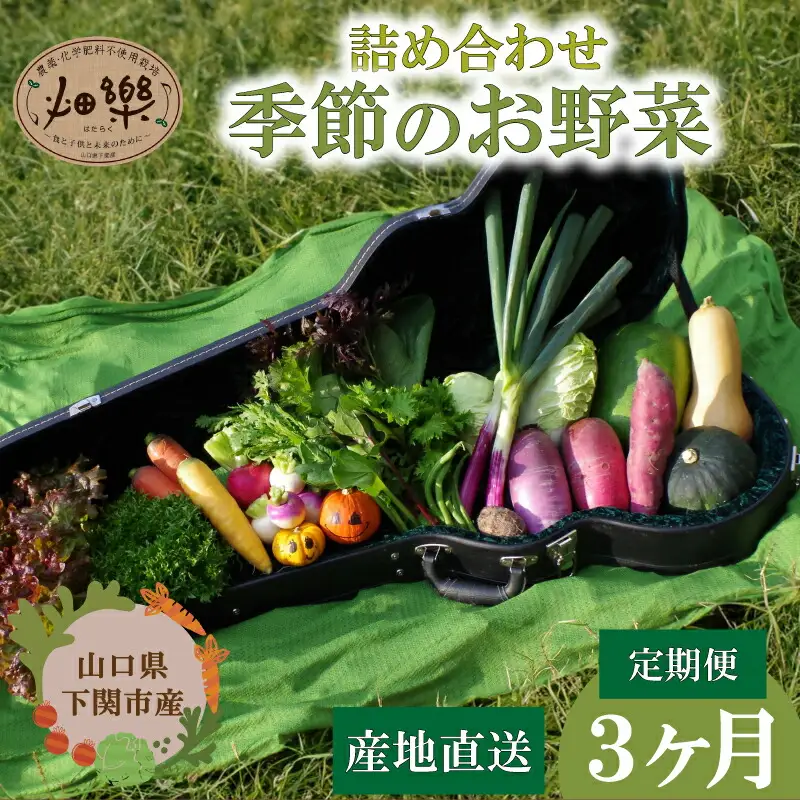 旬 の 野菜 詰め合わせ セット 3ヶ月 定期便 7 ~ 9 品 【2025年5月以降順次発送】 お楽しみ 産地直送 農家直送 季節 春 夏 秋 冬 露地野菜 やさい サラダ 農薬 化学肥料 不使用 下関 山口 IN002