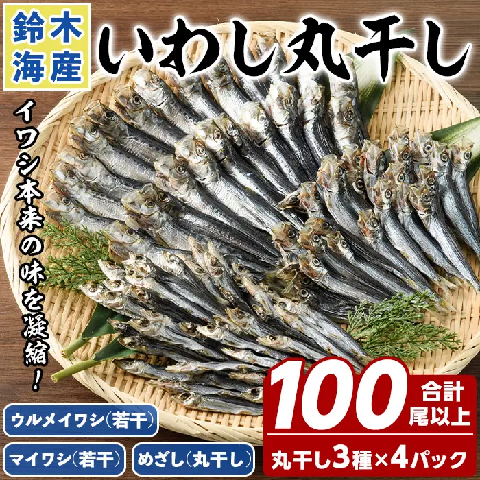 数量限定！イワシ丸干し3点セット(合計100尾以上) 国産 鹿児島県産 阿久根市産 魚 魚介 水産 いわし 鰯 ウルメイワシ うるめいわし めざし マイワシ まいわし 食べ比べ セット 詰め合わせ【鈴木海産】akn091-01