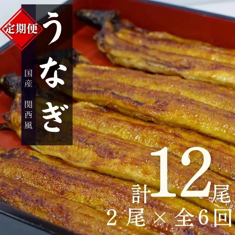 【6カ月定期便】国産うなぎ蒲焼（２本）タレ付き×6回 / 定期便 毎月お届け 和歌山 田辺市 国産 国産うなぎ 国産鰻 うなぎ 鰻 鰻丼 うな丼 土用の丑の日 冷凍 【ots025-tk】