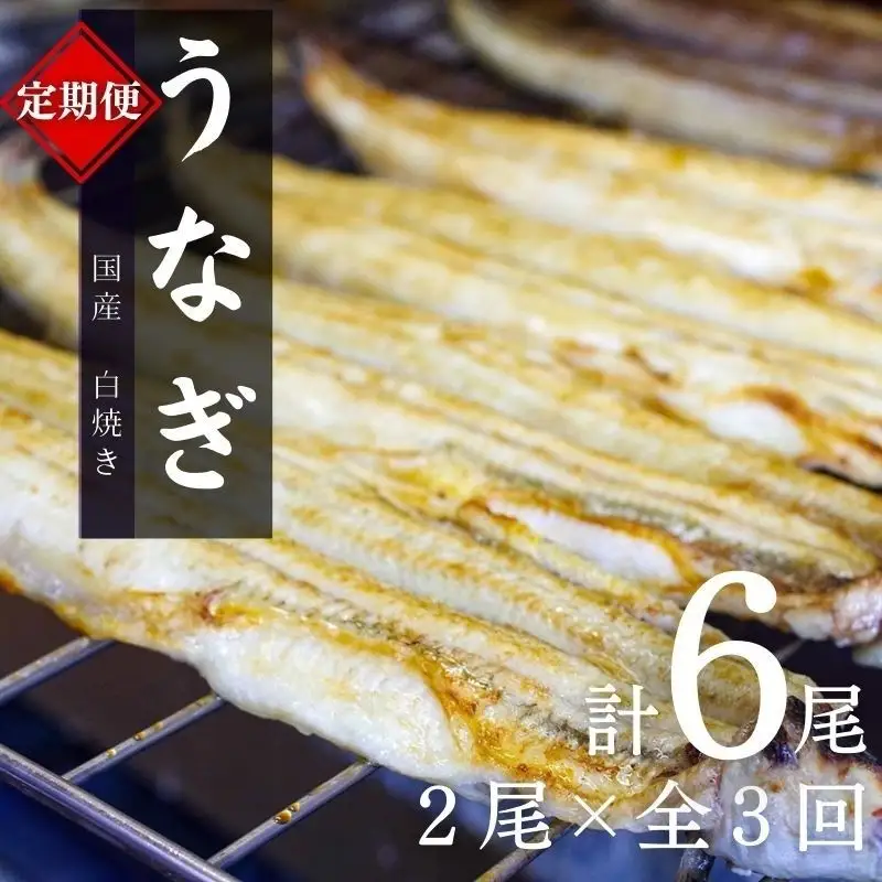 【3カ月定期便】国産うなぎ白焼（2本）×3回 特製醤油・わさび付 / 定期便 毎月お届け 和歌山 田辺市 国産 国産うなぎ 国産鰻 うなぎ 鰻 鰻丼 うな丼 土用の丑の日 【ots027-tk】