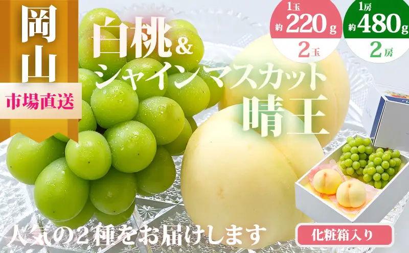 桃 ぶどう 2026年 先行予約 果物 詰合せ 白桃 2玉（1玉220g以上）シャインマスカット 晴王 2房（1房480g以上）化粧箱入り もも 葡萄 岡山県産 国産 フルーツ 果物 ギフト 