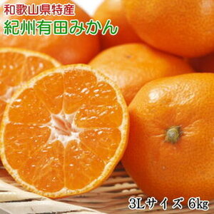 ZD6395_【2026年先行予約】【秀品】 和歌山 有田みかん 6kg（3Lサイズ・秀品）