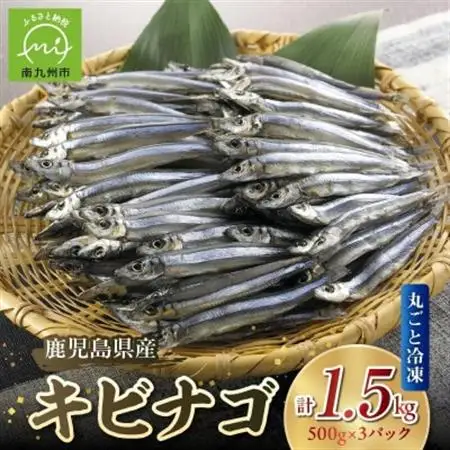 鹿児島県産キビナゴ丸ごと冷凍1.5kg 008-65【配送不可地域：離島】【1710423】