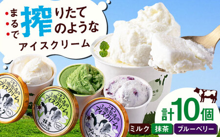 ミルク工房 カップ アイス セット 10個 / お取り寄せ デザート アイス クリーム 冷凍 ふるさと納税  [AJAI011]