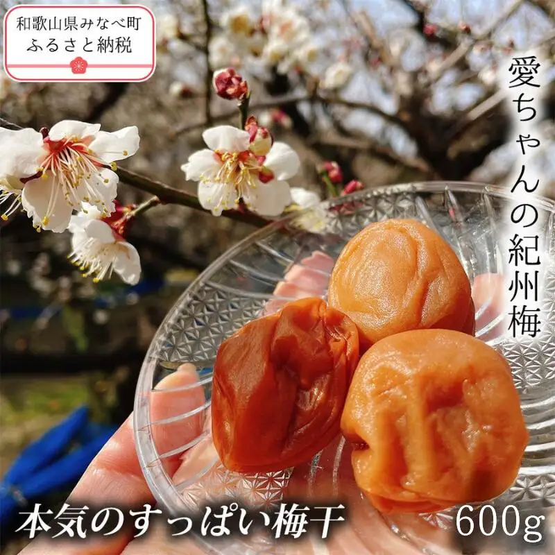 【本気の酸っぱい梅干】愛ちゃんの紀州梅 600g aisu001A【aisu001A】
