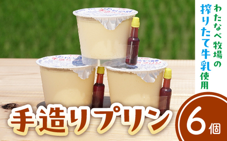 手造りプリン6個セット／冷蔵 ネッカ牛乳 ネッカ卵 蒸しプリン ソース別 牧場 スイーツ おいしい ご褒美 おやつ 牧場 搾りたて グルメ お土産 自宅用 ギフト 贈り物 島根県 安来市【06-WB-19】