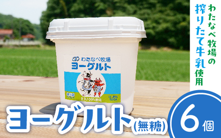 ヨーグルト500ｇ（プレーン）6個セット／ 無糖 ネッカ牛乳 ノンホモ製法 セット 搾りたて 栄養 こだわり おやつ デザート 朝食 スイーツ 自然派 化学合成物質不使用 安心 乳製品 乳酸菌 腸活 健康 島根県 安来市 【09-WB-20】