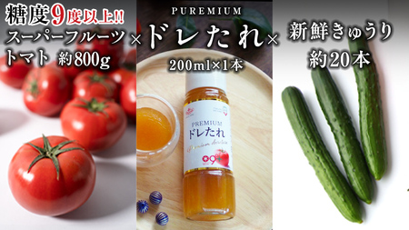 【 2026年2月上旬発送開始 】スーパーフルーツトマト 小箱 約800g ( 7～13玉 ) 糖度9度以上 ＆ 新鮮 きゅうり 約20本 と PREMIUM ドレたれセット とまと トマト 野菜 サラダ ドレッシング キノエネ醤油 [BC078sa]