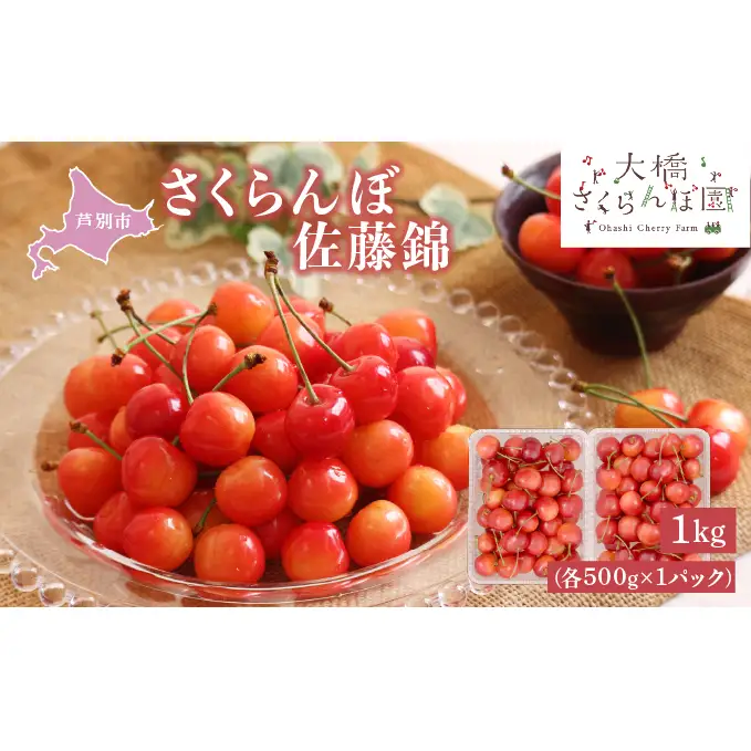 【 先行受付 】さくらんぼ 佐藤錦 1kg (500g×2パック) チェリー フルーツ 果物 旬のフルーツ 旬の果物 くだもの 北海道 芦別市