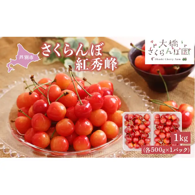 【 先行受付 】さくらんぼ 紅秀峰 1kg (500g×2パック) チェリー フルーツ 果物 旬のフルーツ 旬の果物 くだもの 北海道 芦別市