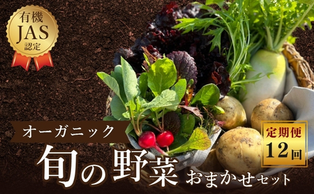 定期便 12回野菜  オーガニック おまかせ野菜セット 野菜 定期便