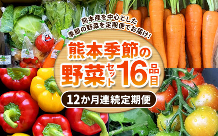 【12か月連続定期便】熊本季節の野菜セット 16品目 ｜ やさい 野菜 季節 旬 新鮮 定期便 熊本県 国産