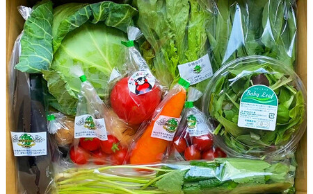 【12か月連続定期便】季節の果物と野菜セット 16品目