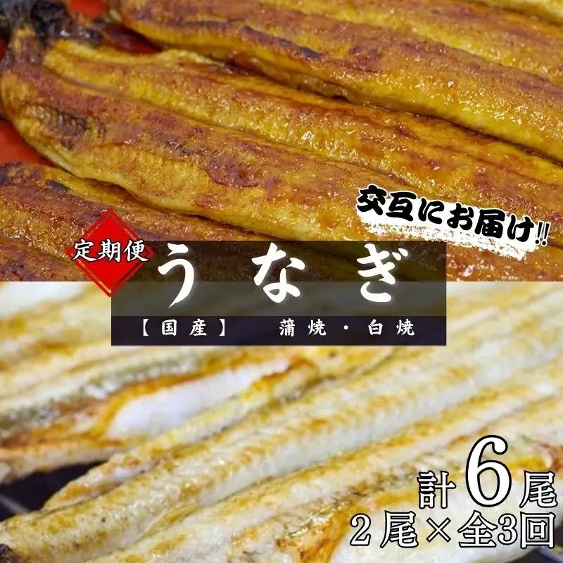 【3カ月定期便】【交互にお届け】国産うなぎ蒲焼 (2本) タレ付×2回　国産うなぎ白焼 (2本) 醤油・わさび付き×1回 / 定期便 毎月お届け 和歌山 田辺市 国産 国産うなぎ 国産鰻 うなぎ 鰻 鰻丼 うな丼 土用の丑の日【ots030-tk】 