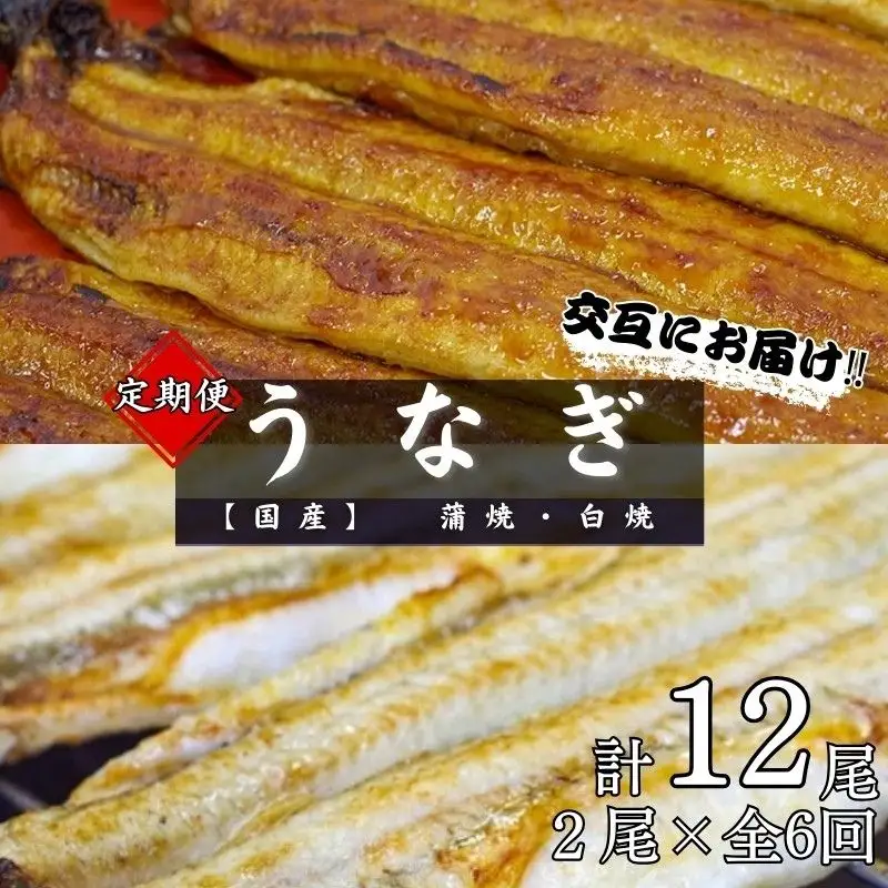 【6カ月定期便】【交互にお届け】国産うなぎ蒲焼 (2本) タレ付×3回　国産うなぎ白焼 (2本) 醤油・わさび付き×3回 / 定期便 毎月お届け 和歌山 田辺市 国産 国産うなぎ 国産鰻 うなぎ 鰻 鰻丼 うな丼 土用の丑の日 【ots031-tk】