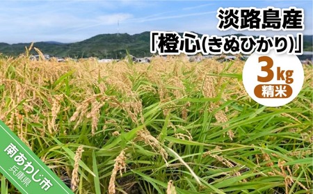 令和７年度産 新米 淡路島産「橙心(きぬひかり)」　精米3kg　◆配送9月末～