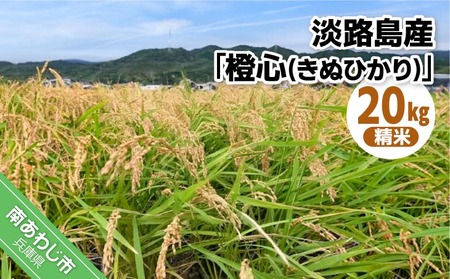 令和７年度産 新米 淡路島産「橙心(きぬひかり)」　精米20kg　◆配送9月末～
