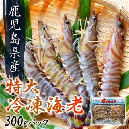 鹿児島県産特大冷凍車海老300g【配送不可地域：離島】【1185849】
