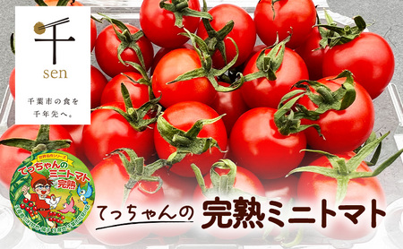 てっちゃんの完熟ミニトマト1kg採れたて農園直送 野菜 千 ブランド 酸味 甘味 美味しい プチトマト 子供 お弁当 お昼 サラダ 